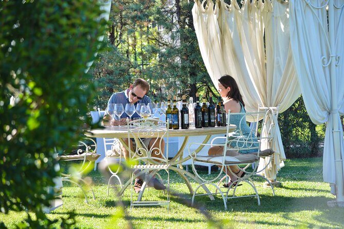 Visit Best Wineries in Tuscany - Wine Tasting & Tour - Key highlights