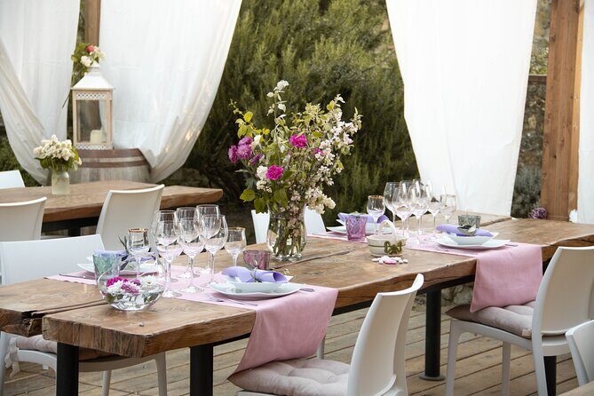 Wine and food tasting in an organic family winery - The tasting lineup: 8 organic wines, plus Vin Santo del Chianti