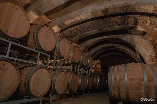 Wine and food tasting in an organic family winery - Who guides you, and why the human touch matters