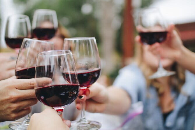 Wine Experience In Chianti Hills from Florence - Key Points You’ll Care About in Chianti