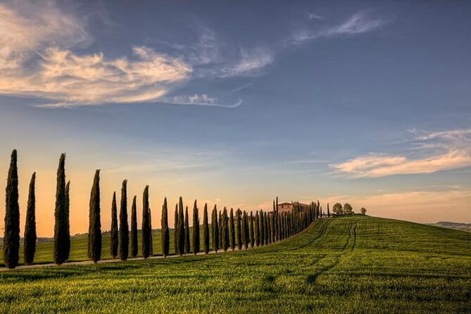 Wine Experience In Chianti Hills from Florence - The Wine and Food Menu: What You Actually Taste
