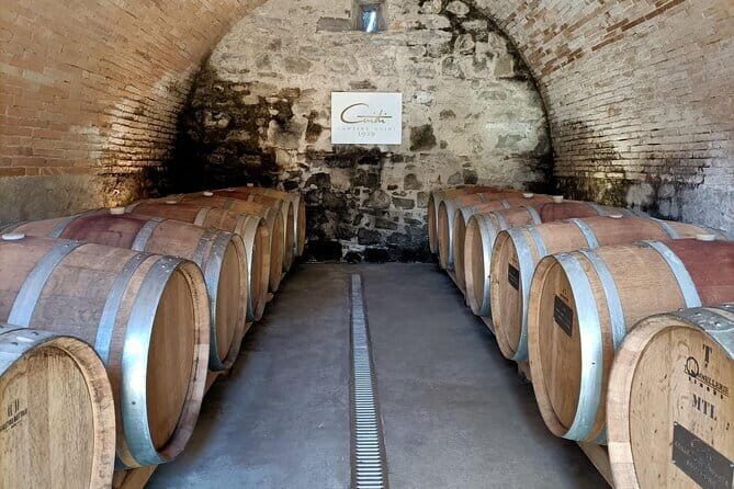 Wine Tasting Experience in Ponte Vecchio: Best Tuscany selection! - The tasting kit and flavour manual: how you learn to taste like a pro