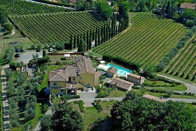 Wine Tour with Lunch and Wine Tasting - Tenuta Guardastelle: a boutique winery near San Gimignano (without the chaos)