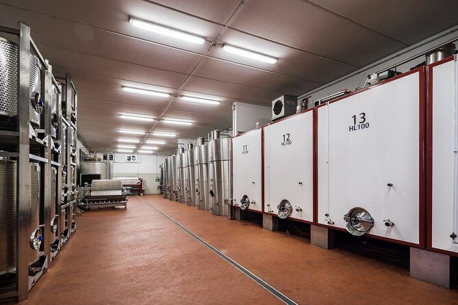 Winemaker for a Day: Tour an Organic Winery - Who you meet matters: Annalaura, Maria, and Julia
