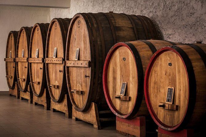 Winemaker for a Day: Tour an Organic Winery - Practical tips: timing, masks, parking, and getting there